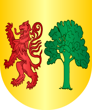 ESCUDO SIGUIENTE